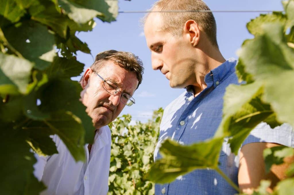 Mit vollem Einsatz für besten Wein