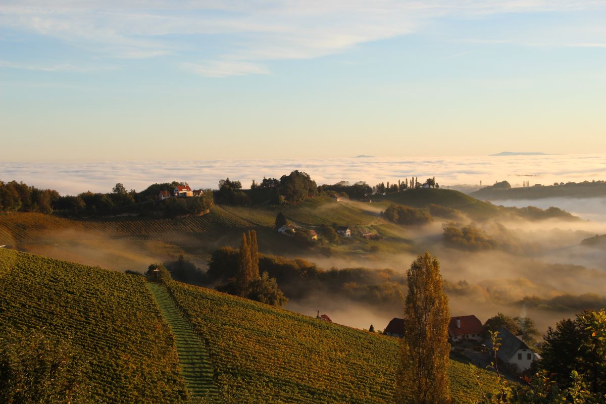 Copyright: Roland Riegelnegg