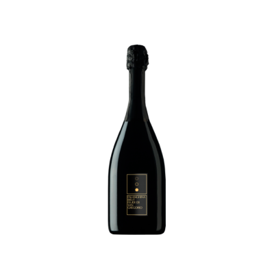 Feudi di San Gregorio Falanghina Brut