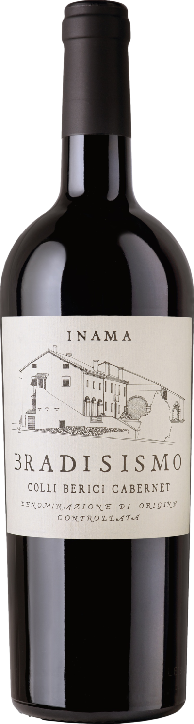 Inama Bradisismo 2021