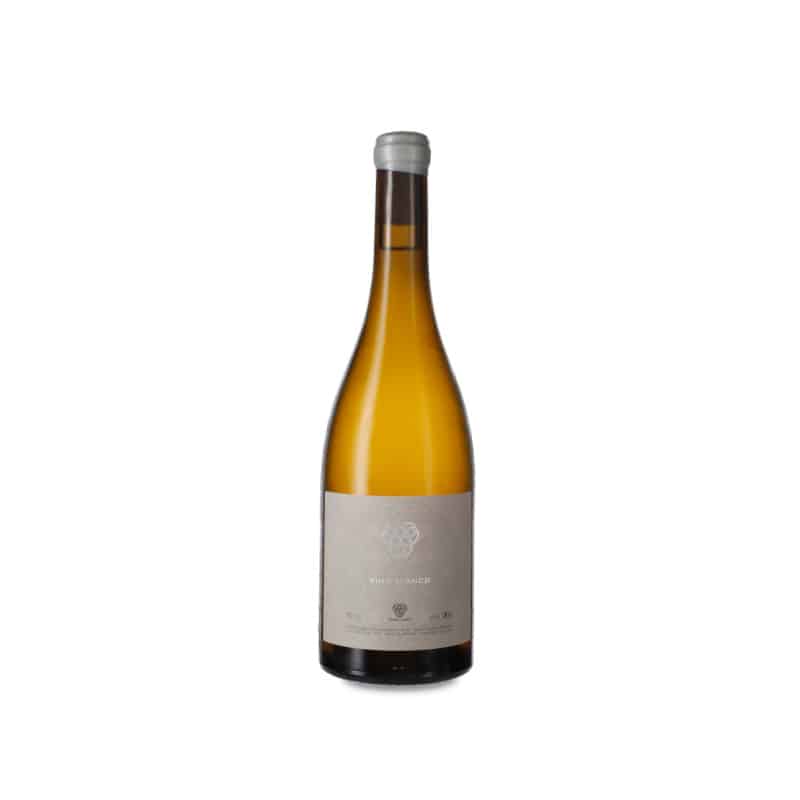 Adega Damm Godello 2023