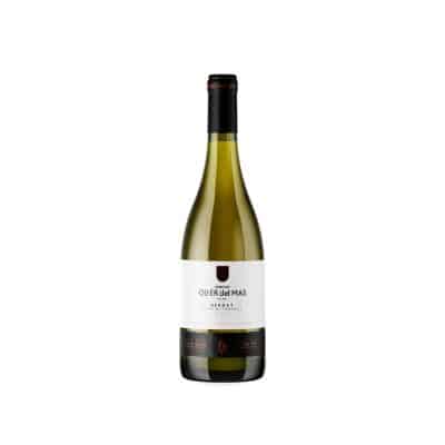 Bernat Oller Blanc de Picapolls 2024