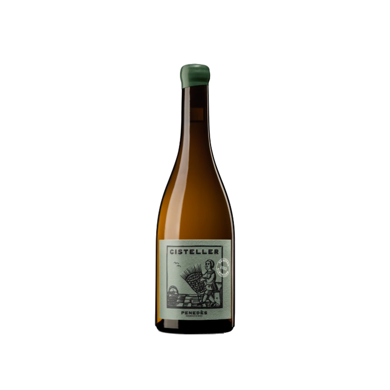 Cisteller Verbena 2024