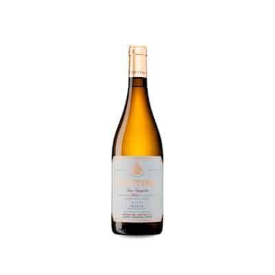 Contino Blanco 2022