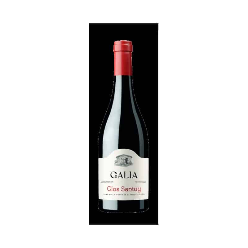 Galia Clos Santuy 2022