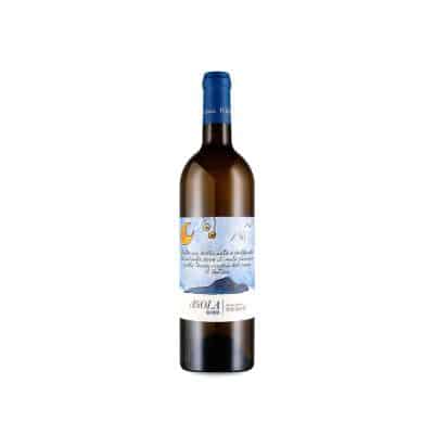 Hibiscus L'Isola Bianco 2024