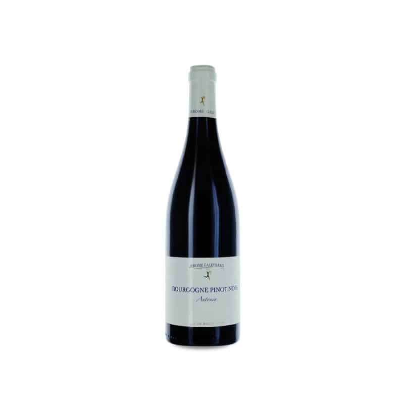 Jérôme Galeyrand Bourgogne Antonin 2023
