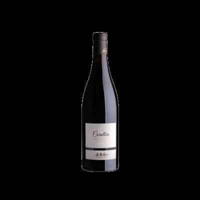 José Antonio García Viticultor Corullón Vino de Villa 2022