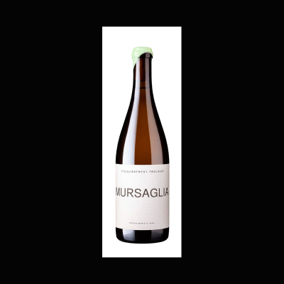 Nicolas Mariotti Bindi Mursaglia Vieillissement Prolongé Blanc 2022