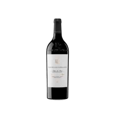 Pago de los Capellanes Reserva 2022