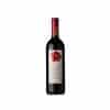 Picchioni Buttafuoco Solinghino 2024