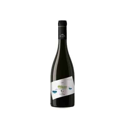 Ponte da Boga Godello 2024