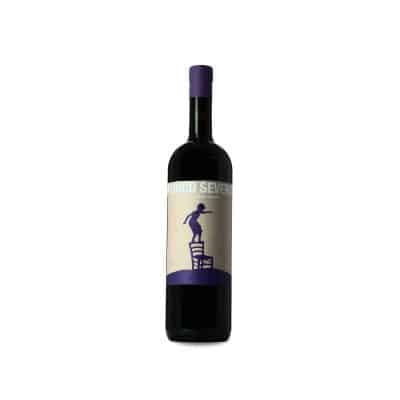 Ronco Severo Merlot 2024