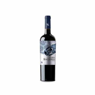 Tianna Bocchoris Negre Tinto 2023