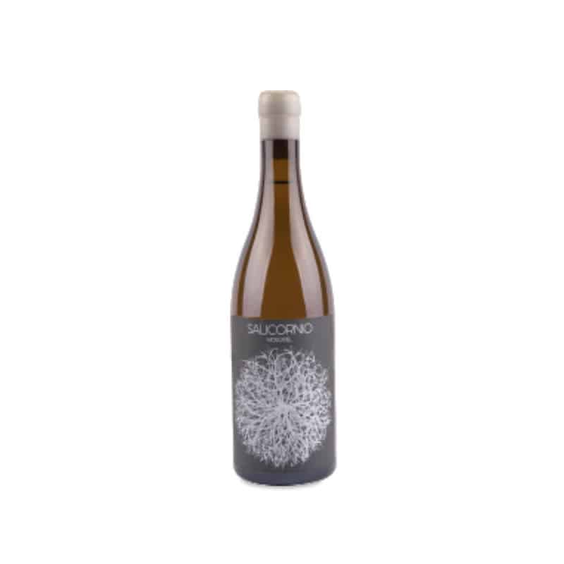 Casa Balaguer Salicornio Moscatel 2024