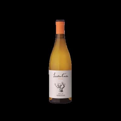 Laventura Malvasia 2024