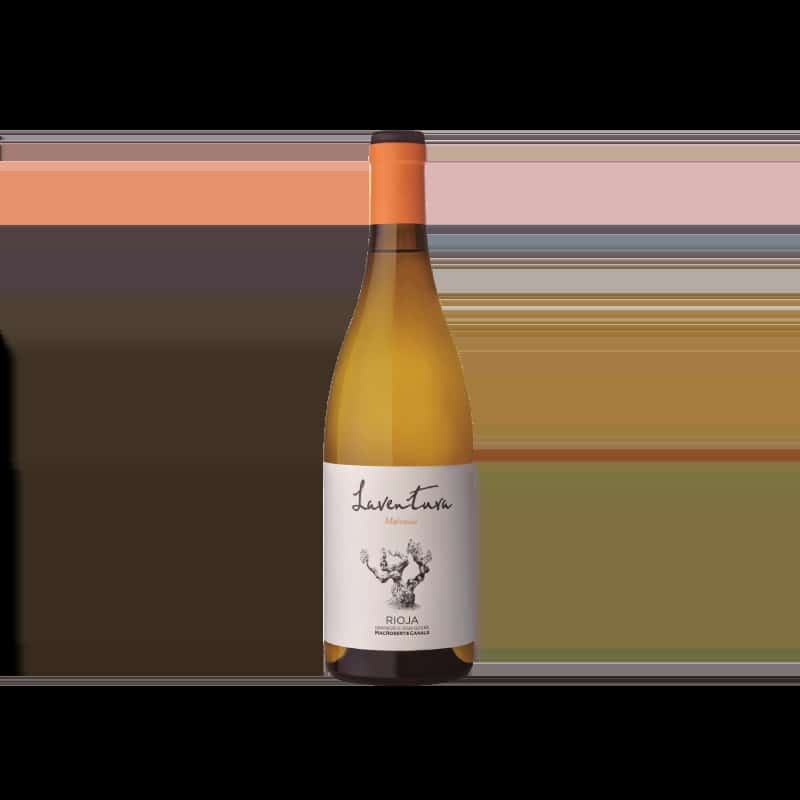 Laventura Malvasia 2024