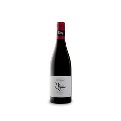 Ultreia de Valtuille Magnum 2023