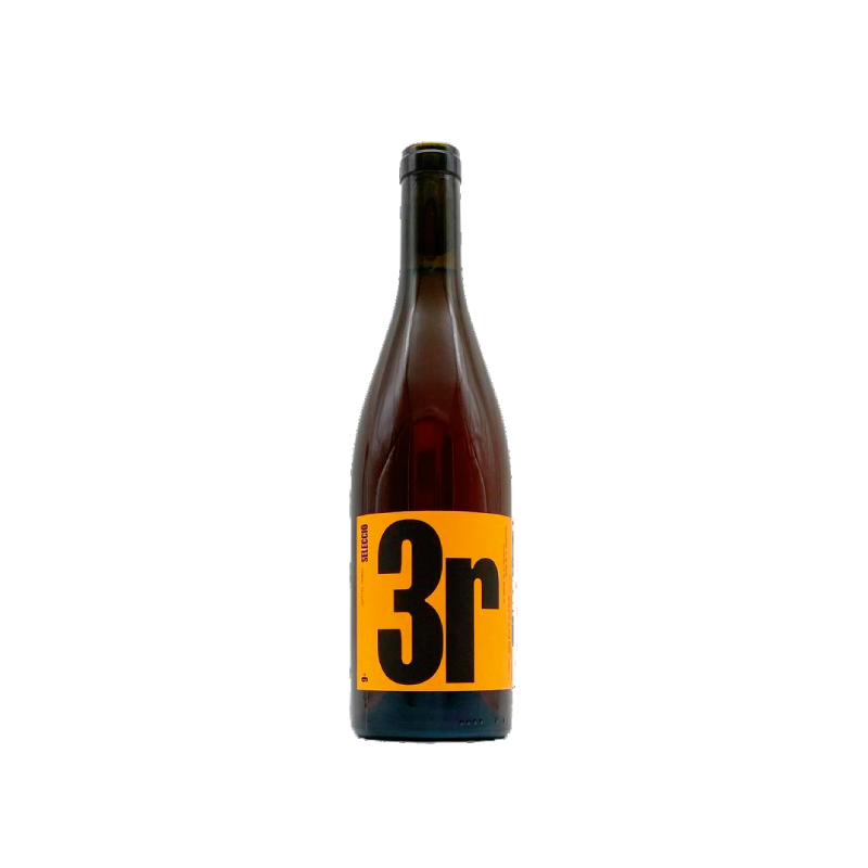 9+ Selecció 3R 2025