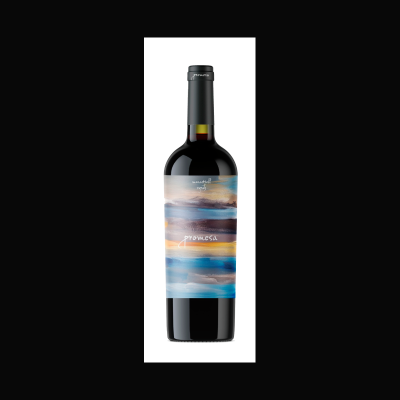 Ego Bodegas Promesa Monastrell-Syrah 2025