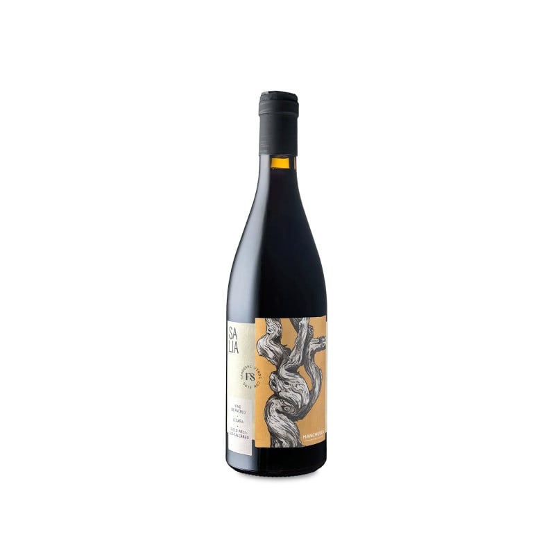 Salia de Finca Sandoval 2024