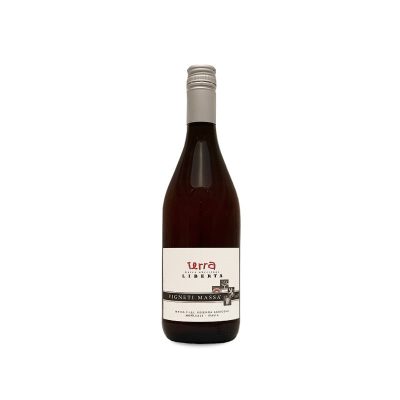 Vigneti Massa Terra 2024