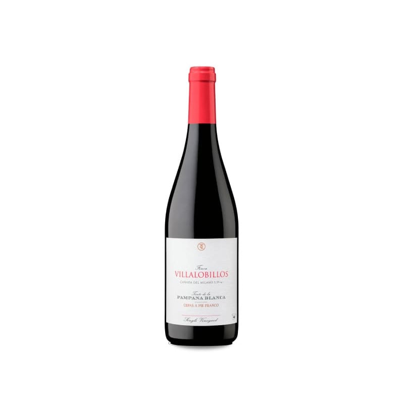 García de Lara Finca Villalobillos Tinto de la Pámpana Blanca 2022