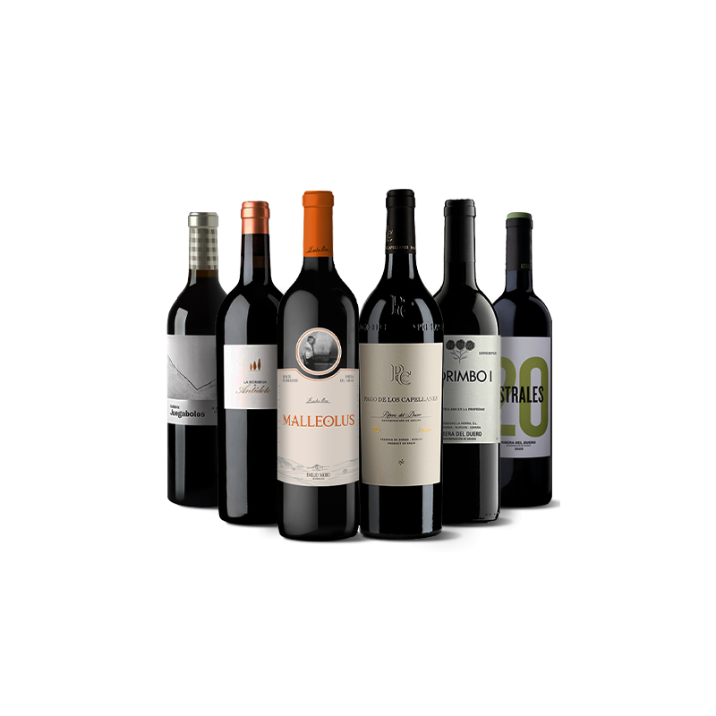 Großartige Ribera del Duero Weine
