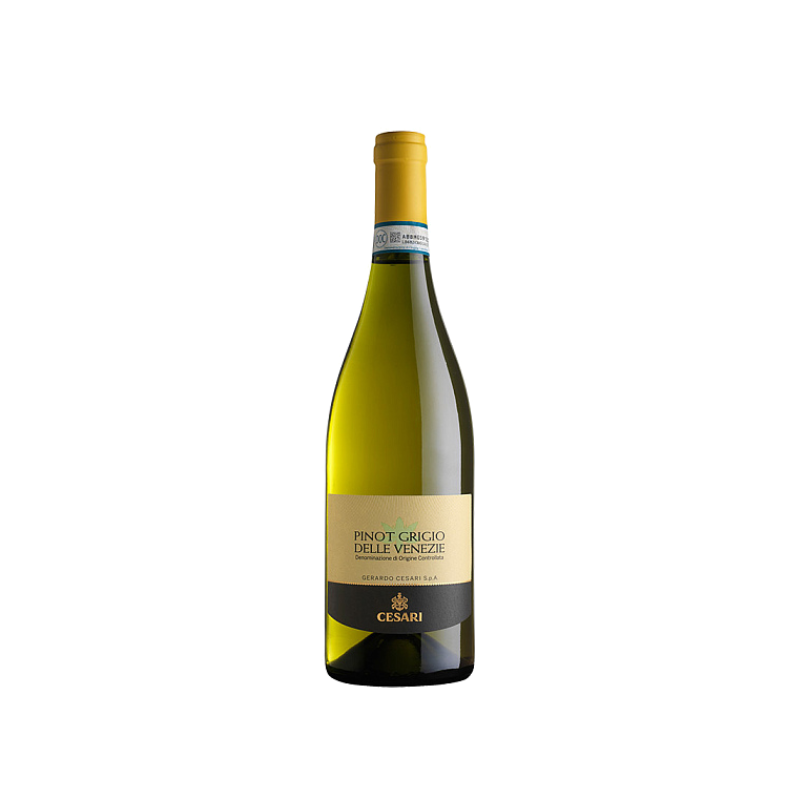 Cesari Pinot Grigio Delle Venezie 2025