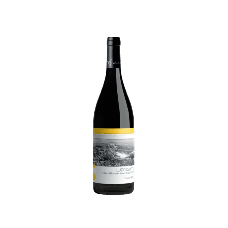 Cà du Ferrà Colline di Levanto Vermentino Luccicante 2025