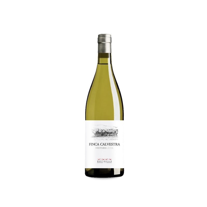 Finca Calvestra 2025