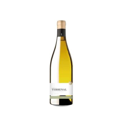 Finca La Terrenal d'Edetària 2022