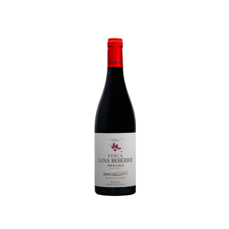 Finca Luna Beberide 2023
