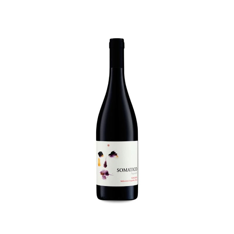 Podere Il Castellaccio Somatico 2023