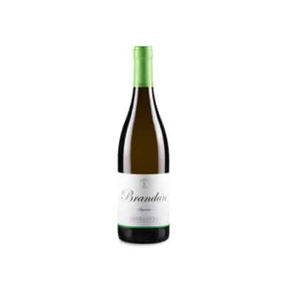 Algueira Brandán Godello 2025