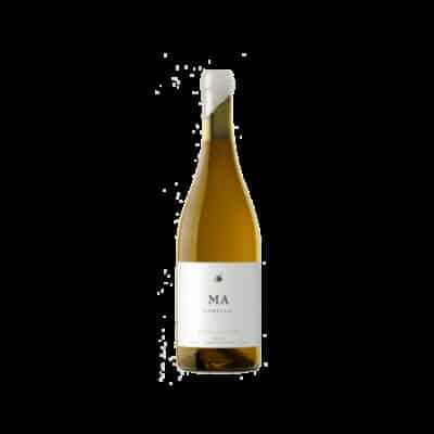 Andrea Mufatto Godello 2023