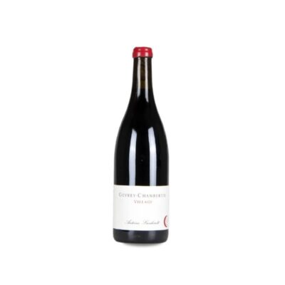 Antoine Lienhardt Gevrey-Chambertin 2023