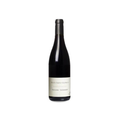 Antoine Lienhardt Nuits-Saint-Georges 2023