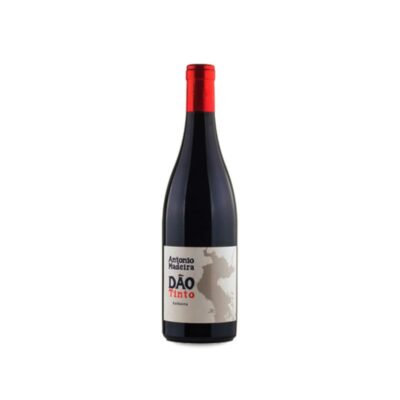 António Madeira Tinto 2022