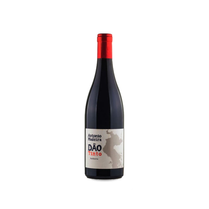 António Madeira Tinto 2022