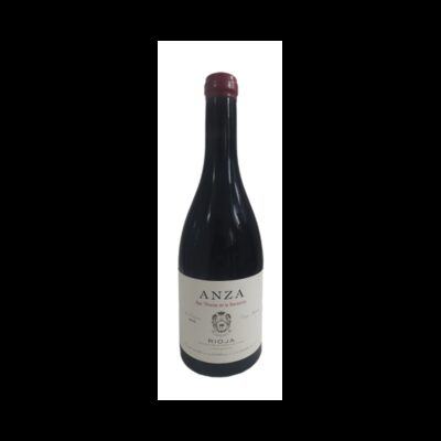 Anza San Vicente 2022