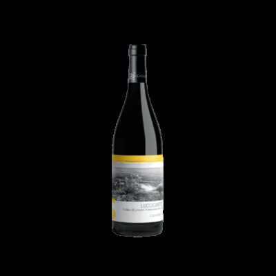 Cà du Ferrà Colline di Levanto Vermentino Luccicante 2025
