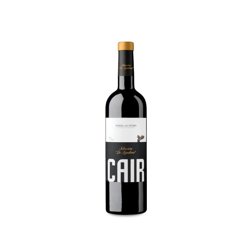 Cair Selección La Aguilera 2021