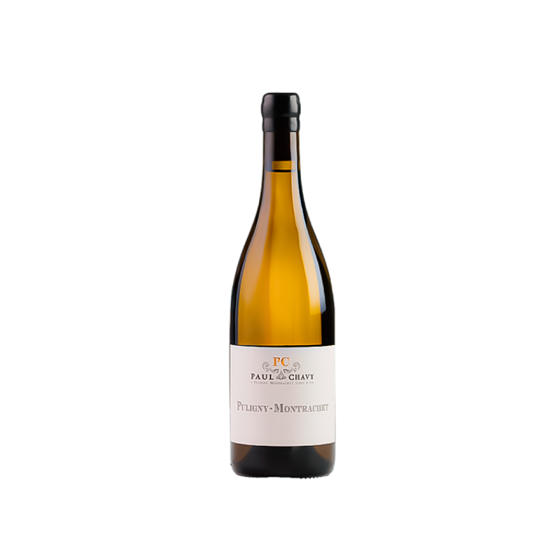 Camille & Guillaume Boillot Puligny-Montrachet 1er Cru "Champ Gain” 2023