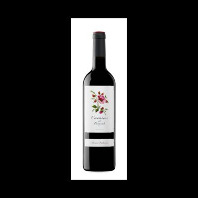 Camins del Priorat 2024