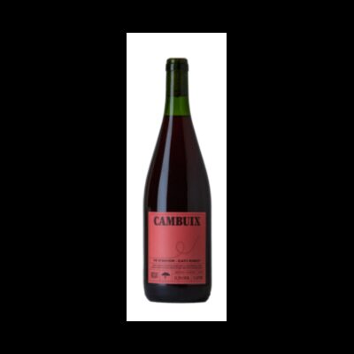 Cati Ribot Cambuix 1 Liter 2024