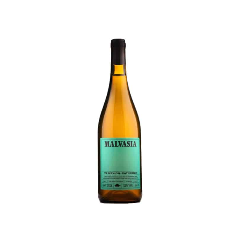 Cati Ribot Malvasia 2025