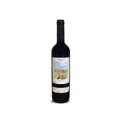 Clos De L'Ona Amagat 2016