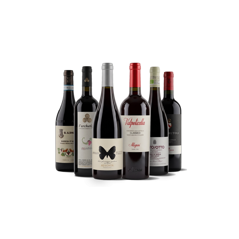 Conoce Italia a través de sus vinos