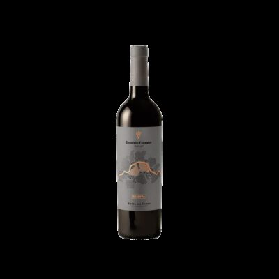 Dominio Fournier Reserva 2020